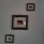 Plapperer's *